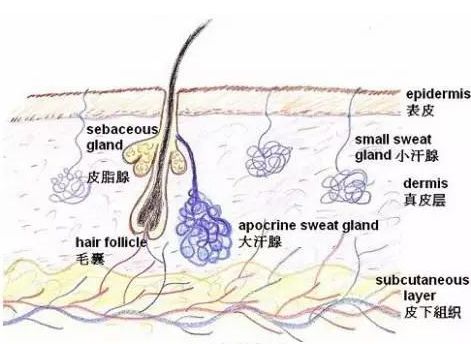 我还在读书,但是想去祛痘痘,深圳有哪些比较合适的祛痘机构